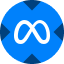 Meta xStock